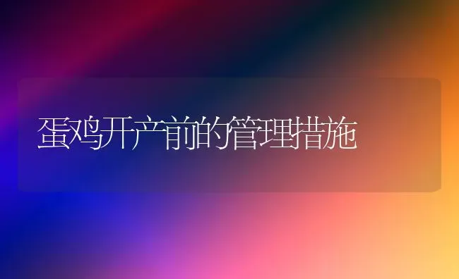 蛋鸡开产前的管理措施 | 家禽养殖