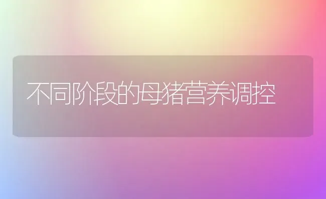 不同阶段的母猪营养调控 | 家畜养殖