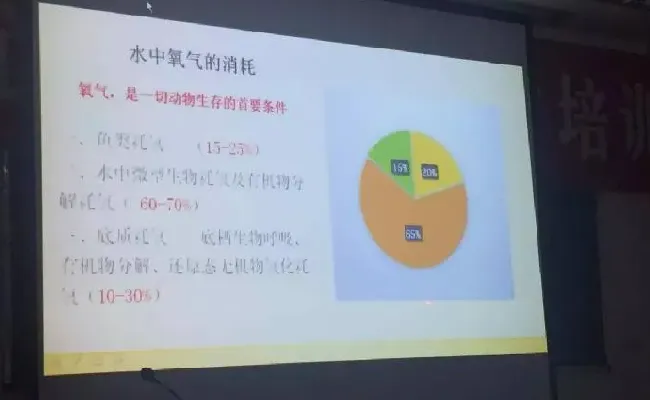 桂花鱼养殖技术培训班心得体会分享