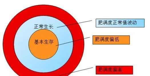 透过表象看本质，养殖鱼“肥满度”带来的一些思考