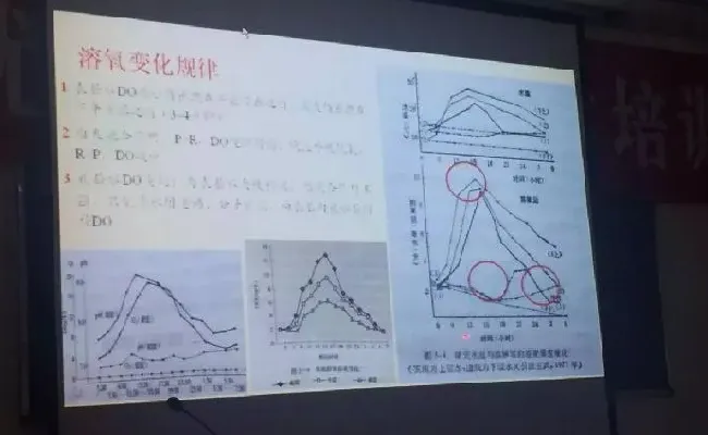 桂花鱼养殖技术培训班心得体会分享