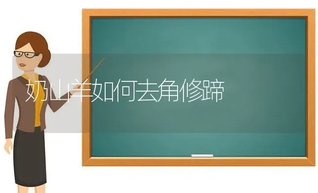 奶山羊如何去角修蹄 | 家畜养殖