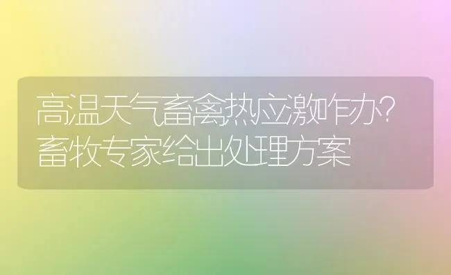 高温天气畜禽热应激咋办？畜牧专家给出处理方案 | 家禽养殖