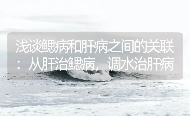 浅谈鳃病和肝病之间的关联：从肝治鳃病，调水治肝病 | 养殖病虫害防治