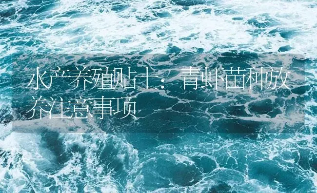 水产养殖贴士：青虾苗种放养注意事项 | 海水养殖