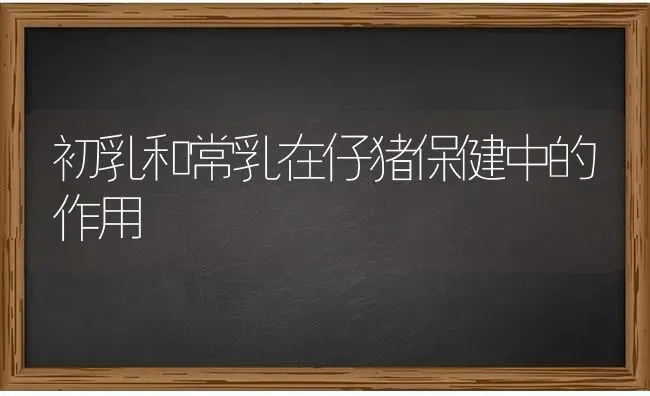 初乳和常乳在仔猪保健中的作用 | 家畜养殖