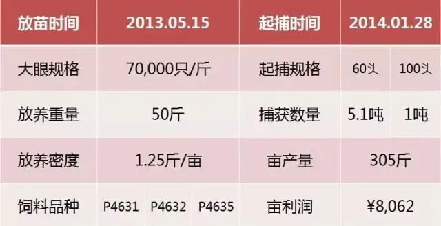 苏州吴江郎老板的幼蟹养殖实例分享