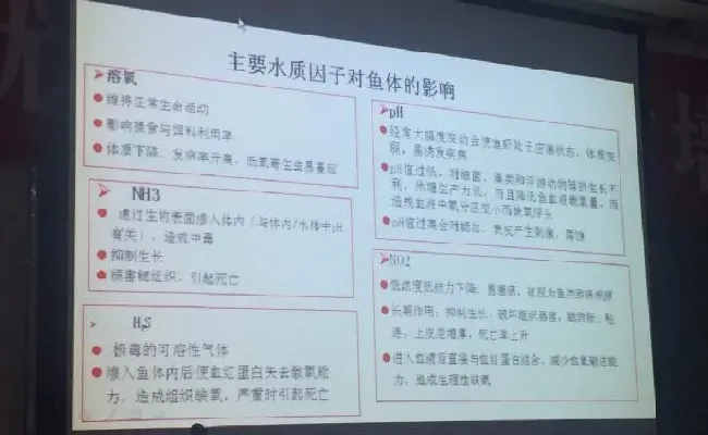 桂花鱼养殖技术培训班心得体会分享