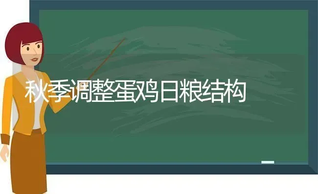 秋季调整蛋鸡日粮结构 | 家禽养殖