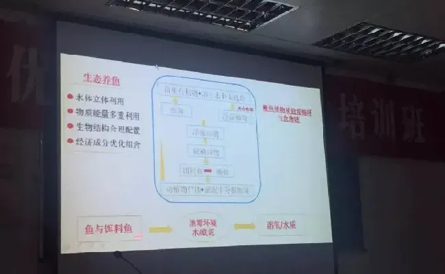 桂花鱼养殖技术培训班心得体会分享