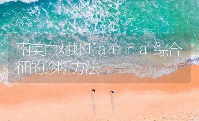 南美白对虾Taura综合征的诊断方法 | 海水养殖