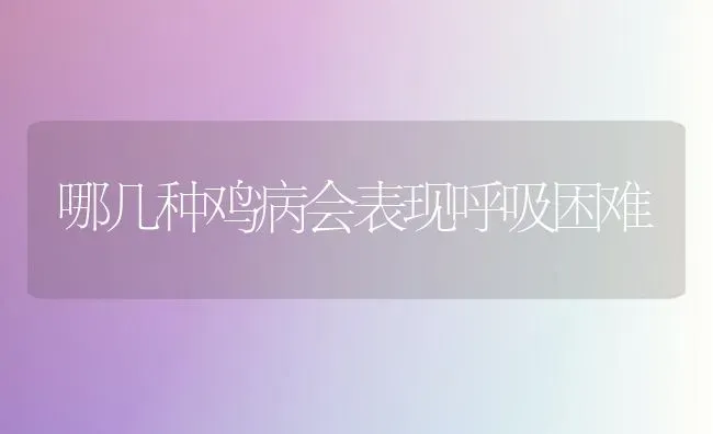 哪几种鸡病会表现呼吸困难 | 家禽养殖