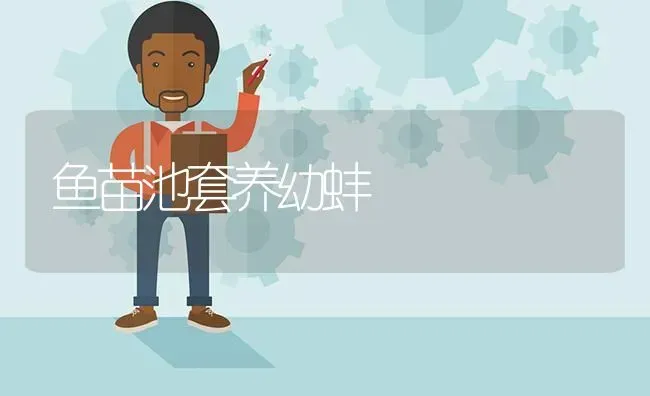 鱼苗池套养幼蚌 | 淡水养殖