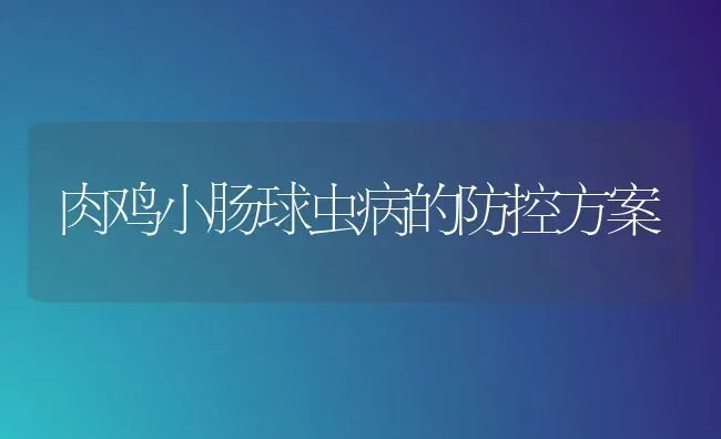 肉鸡小肠球虫病的防控方案 | 家禽养殖