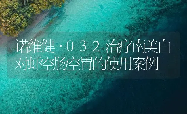 诺维健·032治疗南美白对虾空肠空胃的使用案例 | 海水养殖