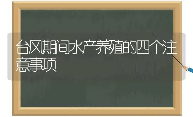 台风期间水产养殖的四个注意事项 | 动物养殖百科