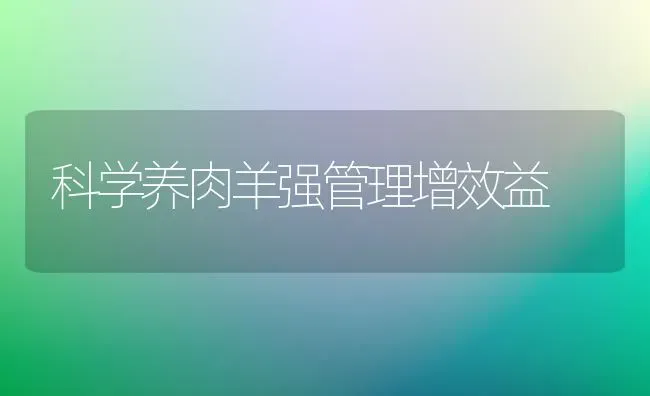 科学养肉羊强管理增效益 | 家畜养殖