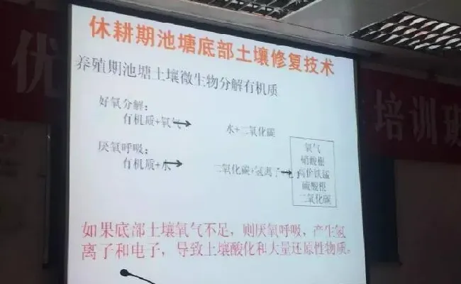 桂花鱼养殖技术培训班心得体会分享