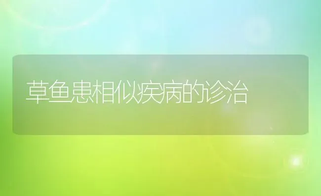 草鱼患相似疾病的诊治 | 淡水养殖