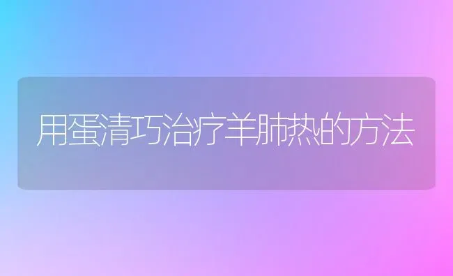 用蛋清巧治疗羊肺热的方法 | 家畜养殖