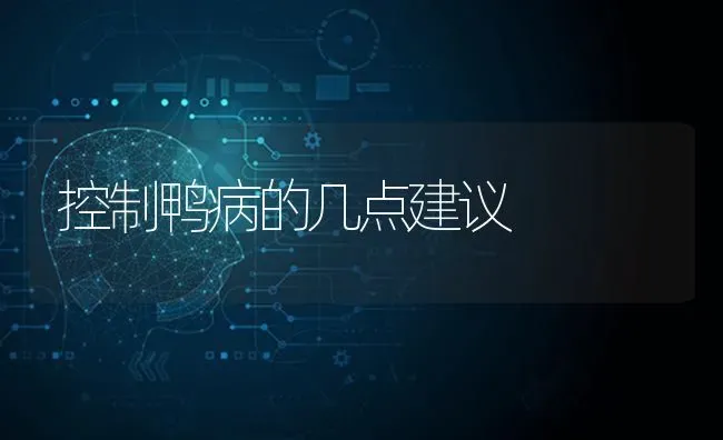 控制鸭病的几点建议 | 家禽养殖