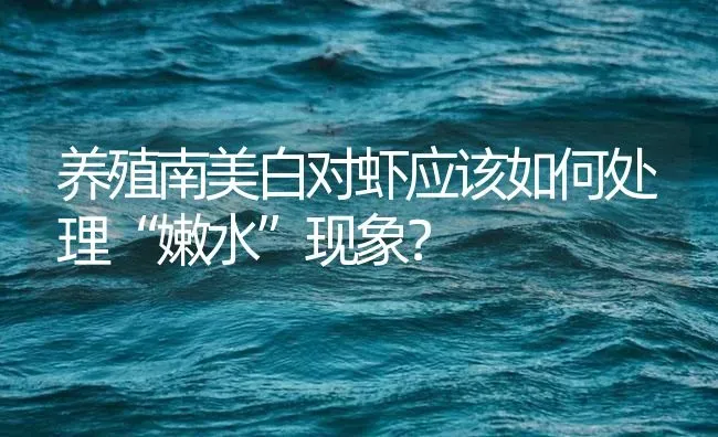 养殖南美白对虾应该如何处理“嫩水”现象？ | 海水养殖