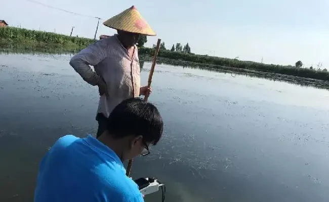 水产大数据助力河蟹摆脱五壳面临的最大威胁