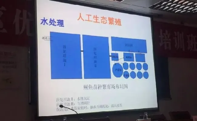 桂花鱼养殖技术培训班心得体会分享