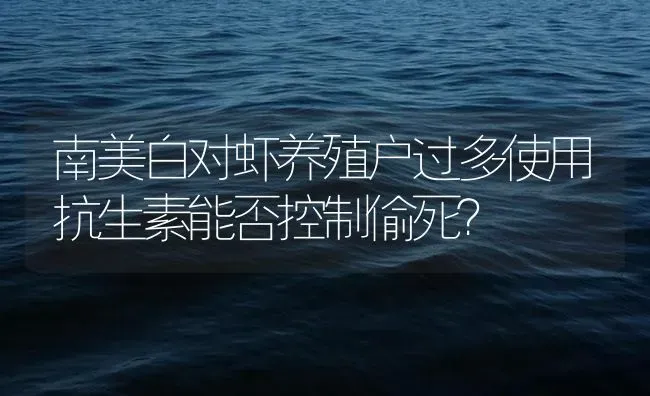南美白对虾养殖户过多使用抗生素能否控制偷死？ | 海水养殖