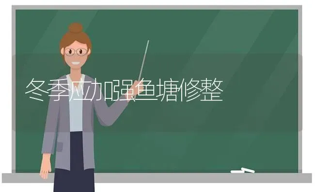 冬季应加强鱼塘修整 | 淡水养殖