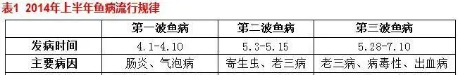 七八月高温期间草鱼投喂管理技术分享
