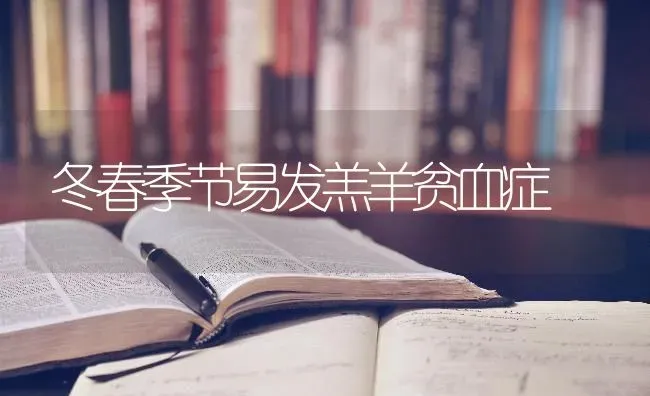 冬春季节易发羔羊贫血症 | 家畜养殖