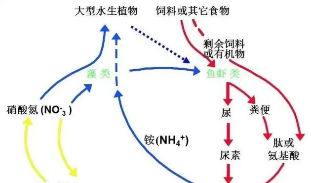 气温突变对水产养殖的影响和防控措施