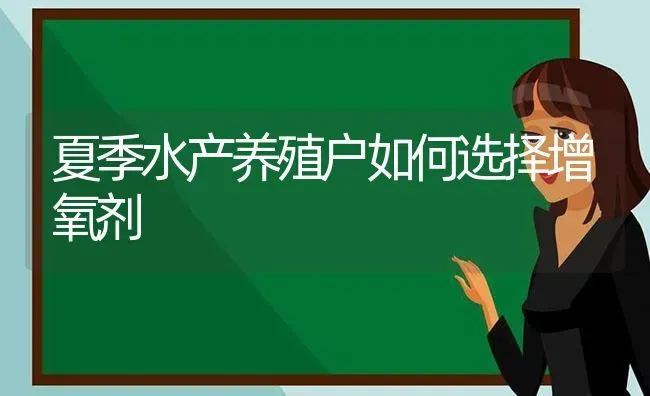 夏季水产养殖户如何选择增氧剂 | 动物养殖百科