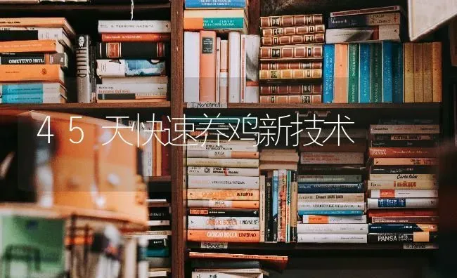 45天快速养鸡新技术 | 家禽养殖