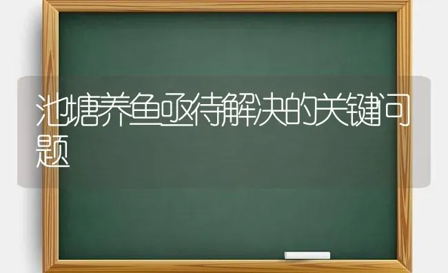 池塘养鱼亟待解决的关键问题 | 淡水养殖