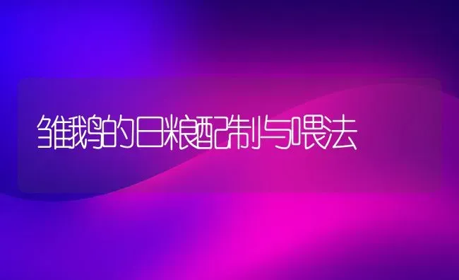 雏鹅的日粮配制与喂法 | 家禽养殖