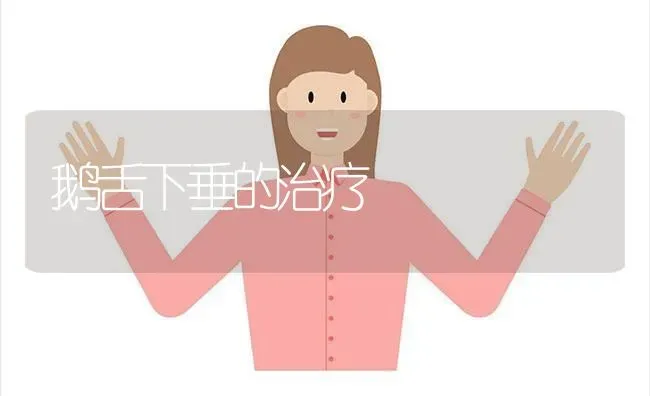 鹅舌下垂的治疗 | 家禽养殖