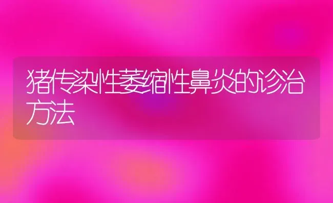 猪传染性萎缩性鼻炎的诊治方法 | 家畜养殖
