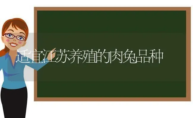 适宜江苏养殖的肉兔品种 | 家畜养殖