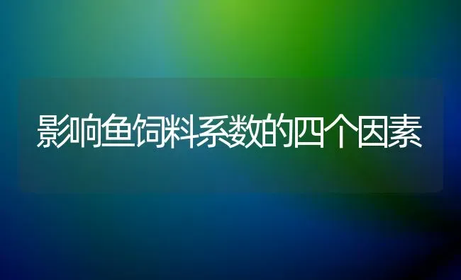 影响鱼饲料系数的四个因素 | 动物养殖饲料