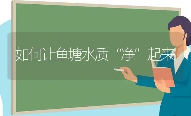 如何让鱼塘水质“净”起来 | 淡水养殖