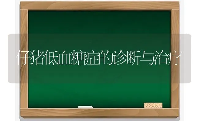 仔猪低血糖症的诊断与治疗 | 家畜养殖