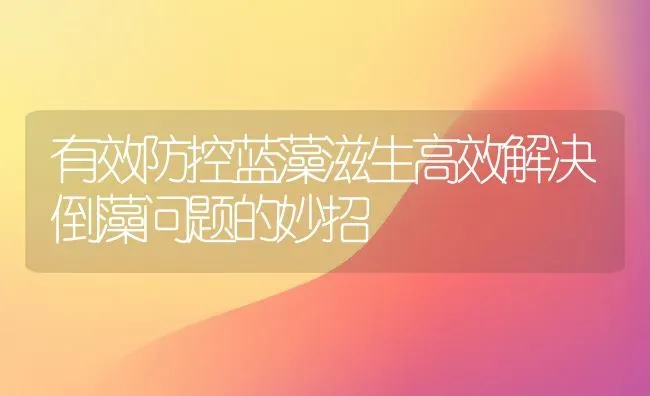 有效防控蓝藻滋生高效解决倒藻问题的妙招 | 动物养殖百科
