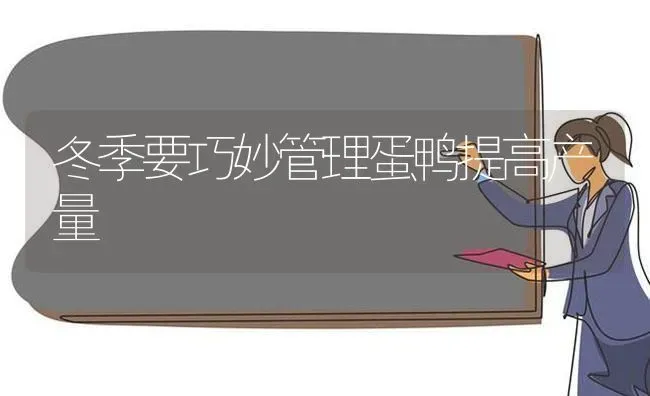 冬季要巧妙管理蛋鸭提高产量 | 家禽养殖