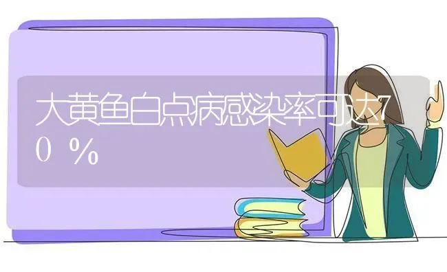 大黄鱼白点病感染率可达70％ | 淡水养殖