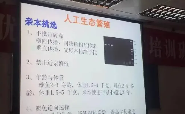 桂花鱼养殖技术培训班心得体会分享