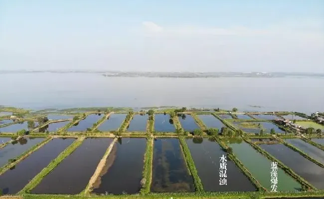 水产大数据助力河蟹摆脱五壳面临的最大威胁