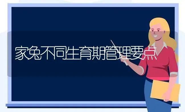 家兔不同生育期管理要点 | 家畜养殖