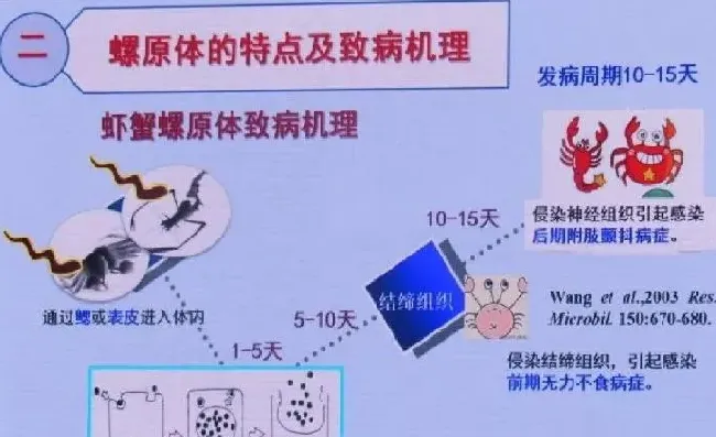 从抖抖病反思河蟹塘溶氧管理问题